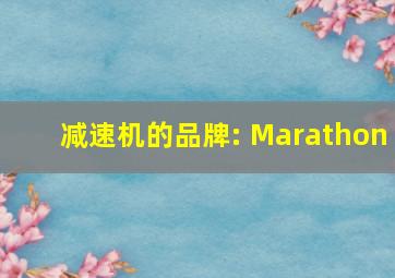 减速机的品牌: Marathon